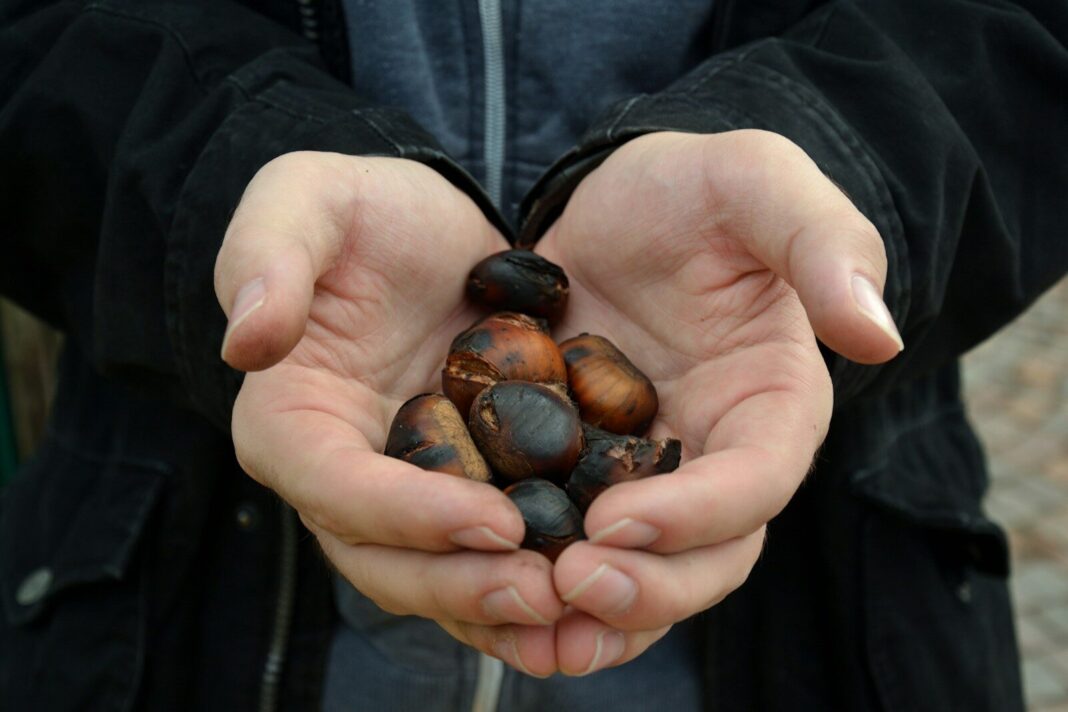 a person holding a handful of nuts in their hands